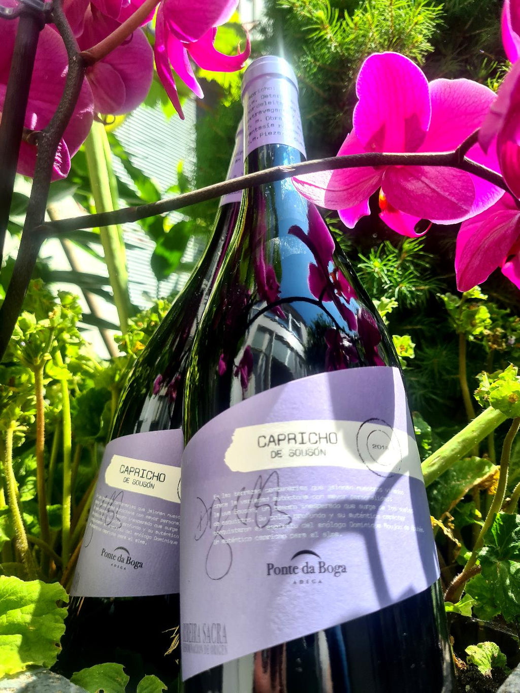 Capricho de Souson van wijnmaker Ponte da Boga uit de regio Ribeira Sacra Spanje.