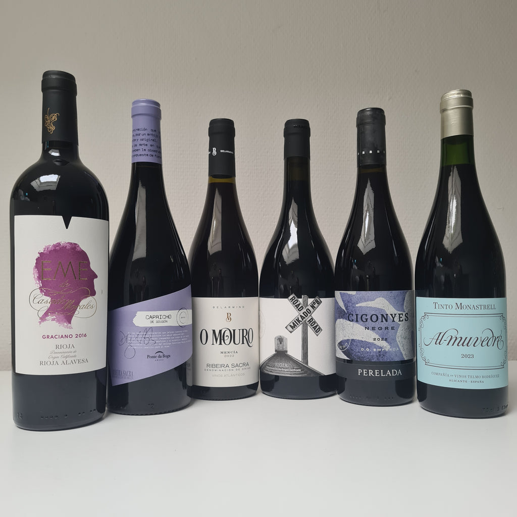 6 flessen rode wijn uit Spanje